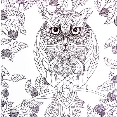 ぬりえ 塗り絵 ジエンチャテッド 24p ストレス解消 イラスト ぬり絵 うめのやonline 通販 Yahoo ショッピング