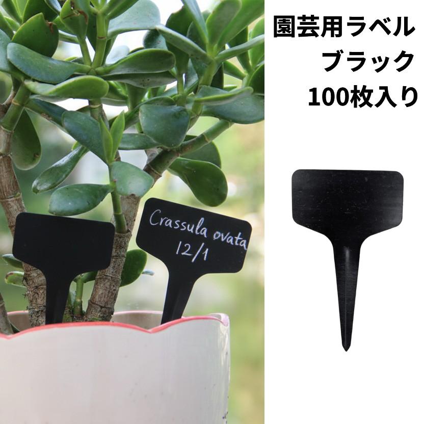 並行輸入品】園芸用ラベル 黒 100枚入 T型 防水 園芸ラベル 植物タグ