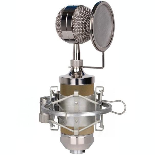 マイク コンデンサーマイク 《ゴールド》 録音 マイク ポップフィルター カーディオイド .. 4589559126509うめのや