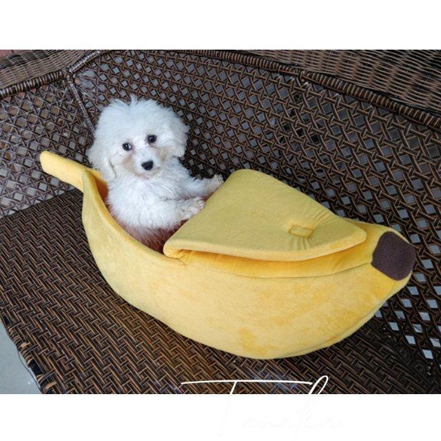 日本産 ペットベッド ペットハウス 犬用ハウス 猫用ハウス ４サイズ バナナ型 寒さ対策 Shipsctc Org