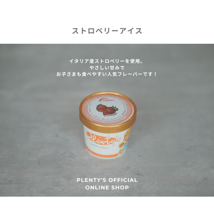 アイスクリーム6個セット│Plenty's（プレンティーズ） |  | 06