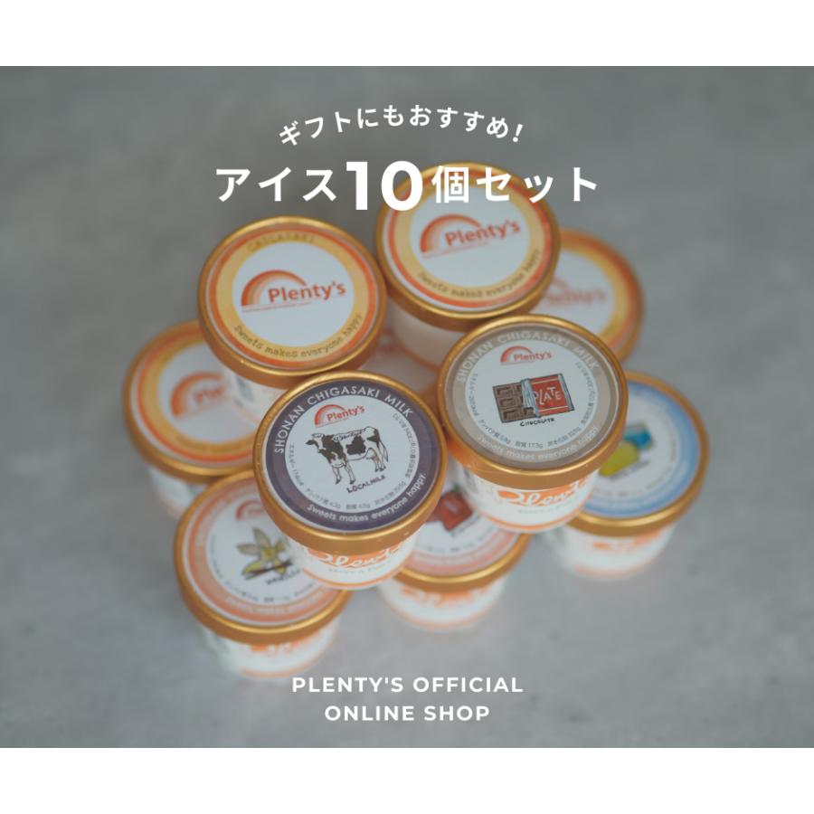 アイスクリーム10個セット│Plenty's（プレンティーズ） | 
