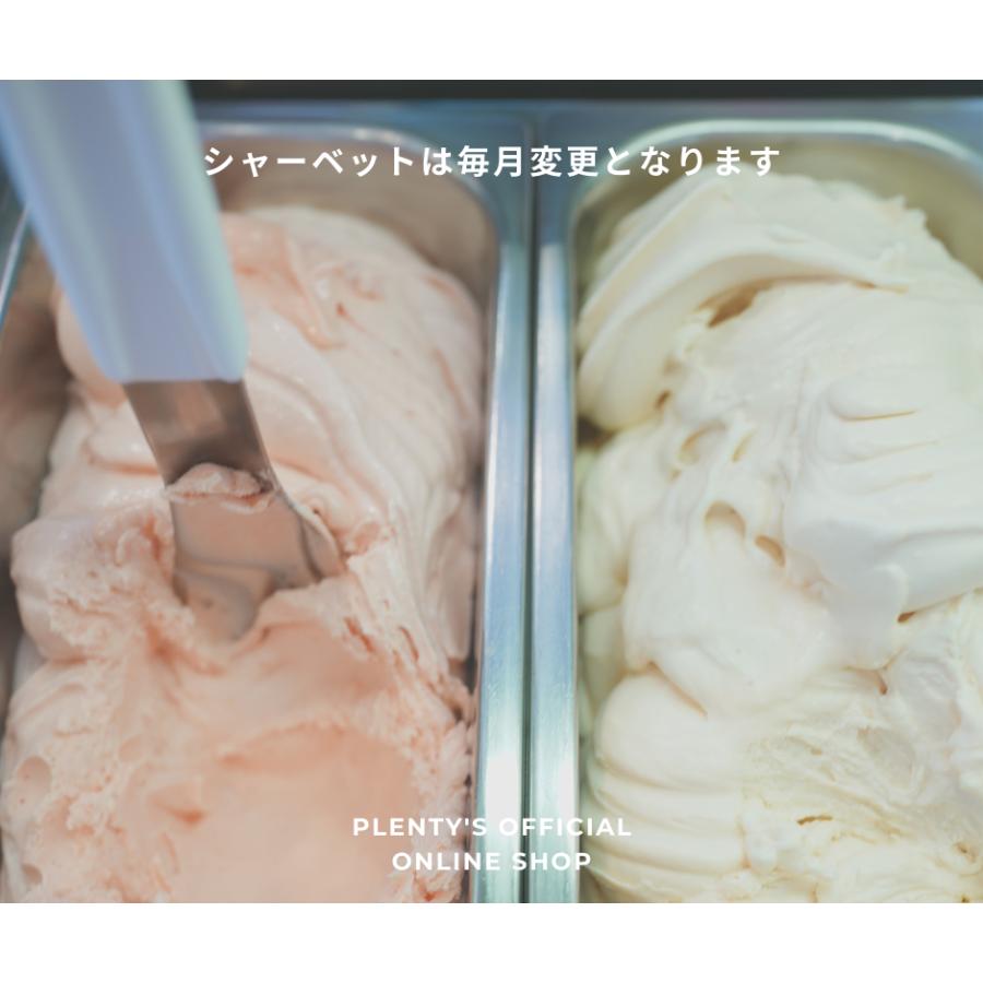 アイスクリーム10個セット│Plenty's（プレンティーズ） |  | 03