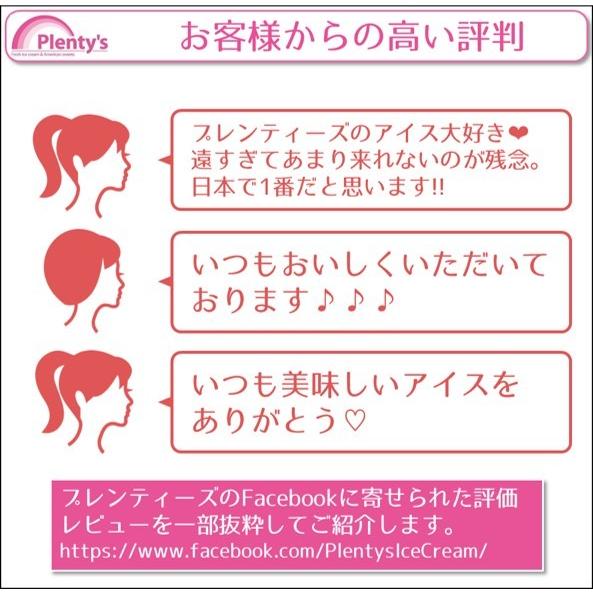 アイスクリーム10個セット│Plenty's（プレンティーズ） |  | 11