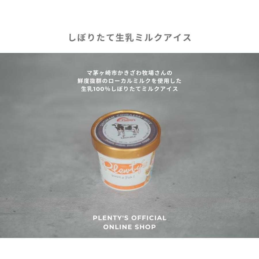 アイスクリーム10個セット│Plenty's（プレンティーズ） |  | 06