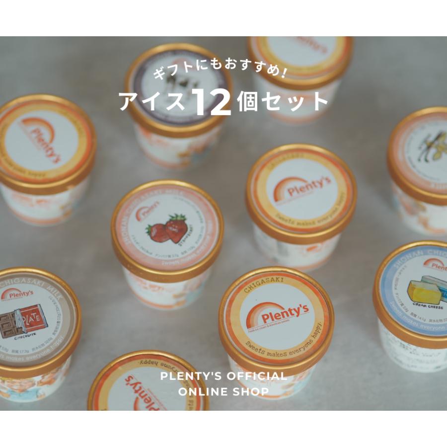 アイスクリーム12個セット│Plenty's（プレンティーズ） | 