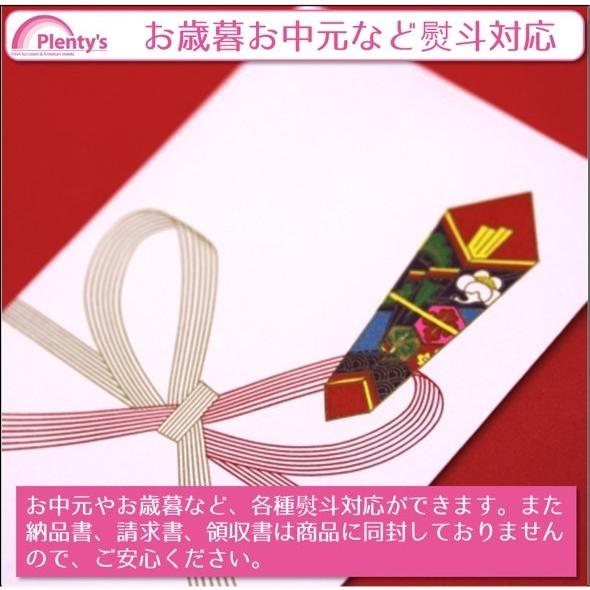 アイスクリーム12個セット│Plenty's（プレンティーズ） |  | 10