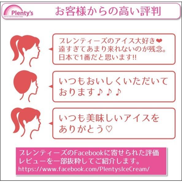 アイスクリーム12個セット│Plenty's（プレンティーズ） |  | 11