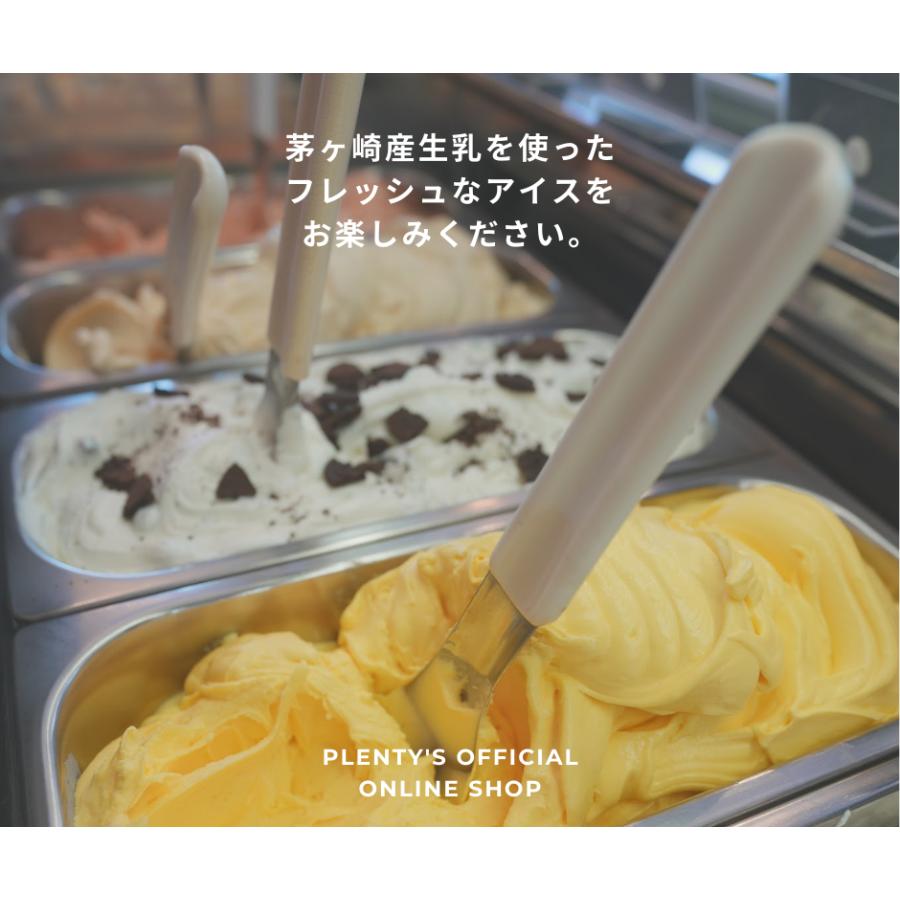 【大容量】アイスクリーム40個セット│Plenty's（プレンティーズ） |  | 03