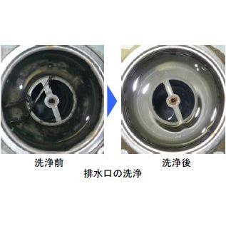 【即納】【ピーピースルーＫ同等品】パイプダッシュ 冷水用 業務用配管洗浄剤 1kg 医薬用外劇物 医薬用外劇物譲受書が必要です |  | 02