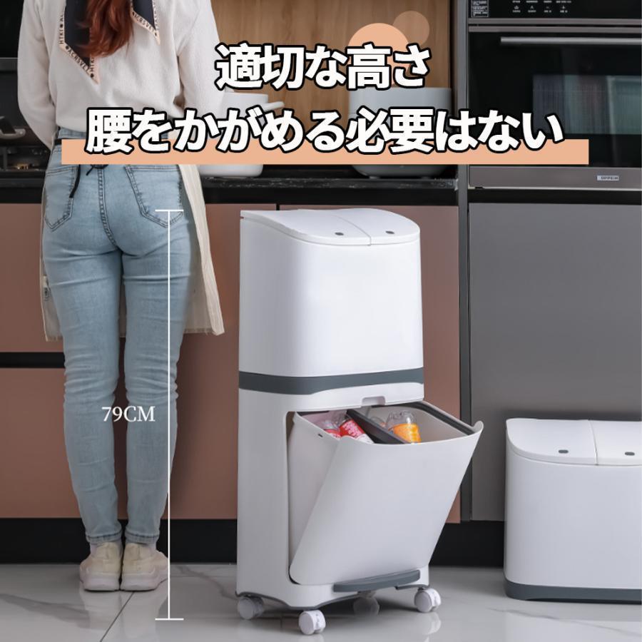 ゴミ箱 おしゃれ 分別ごみ箱 分別2段 縦型 省スペース 45 ゴミ箱 おしゃれ 分別ごみ箱 分別2段 縦型 省スペース 45