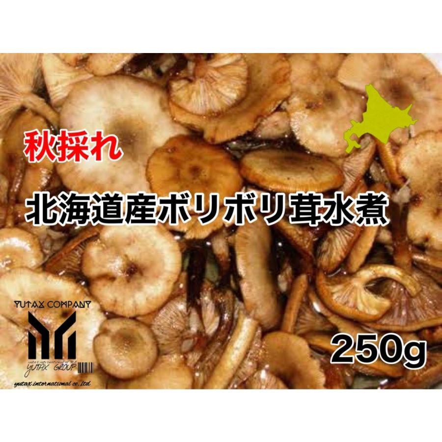 北海道 道南産 ナラタケ ボリボリ水煮 瓶詰め 500g : ユタックス