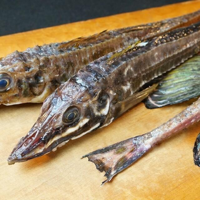 北海道 函館水揚げ 高級魚 ハッカク 5尾 八角 Kaxtukaku ユタックス グループ 北海道物産 通販 Yahoo ショッピング