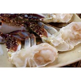 函館噴火湾ワタリガニ×10【メス】 函館噴火湾ワタリガニ×10【メス】