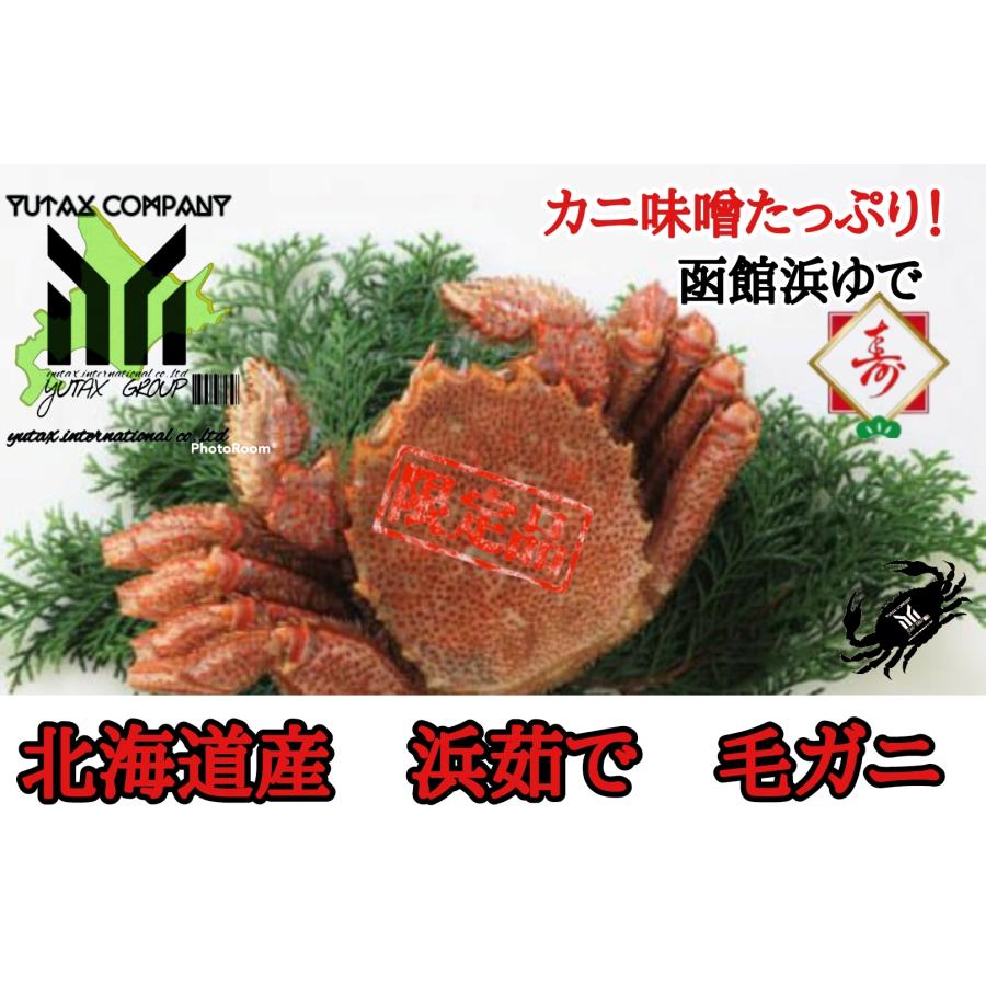 ユタックス グループ 北海道物産函館噴火湾産 毛ガニ 3杯 贅沢