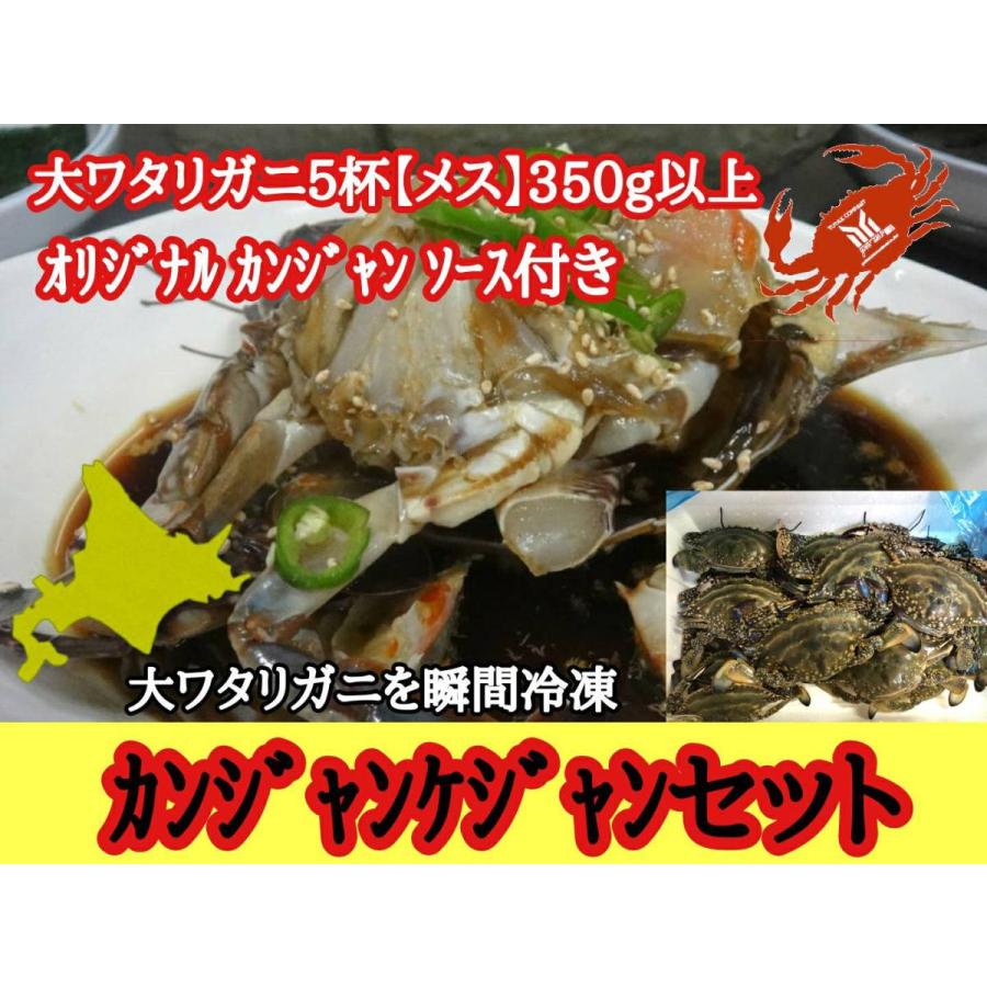 流行に 北海道 函館水揚げ 大ワタリガニを使った カンジャンケジャン メス 5杯 超人気の Www Muslimaidusa Org
