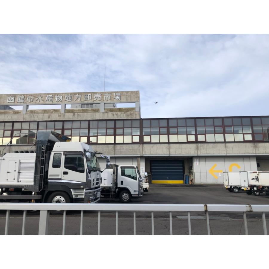 北海道産天然クロソイ 600 1kg 1尾 噴火湾 函館水揚げ黒ソイ Kurosoi ユタックス物産 北海道 通販 Yahoo ショッピング