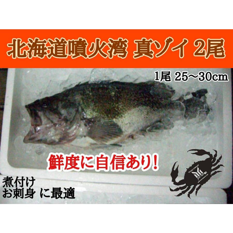 北海道噴火湾産 真ゾイ 2尾 Mazoi ユタックス物産 通販 Yahoo ショッピング