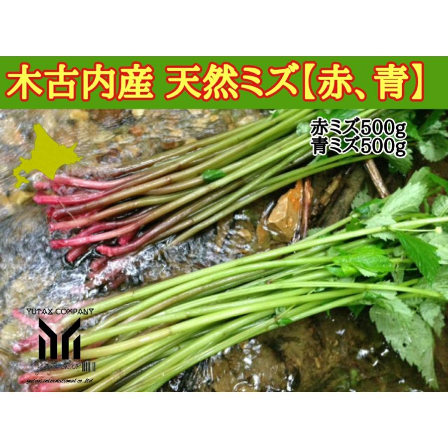 希望者のみラッピング無料 北海道木古内町産 赤ミズ500g 青ミズ500g 計1kg