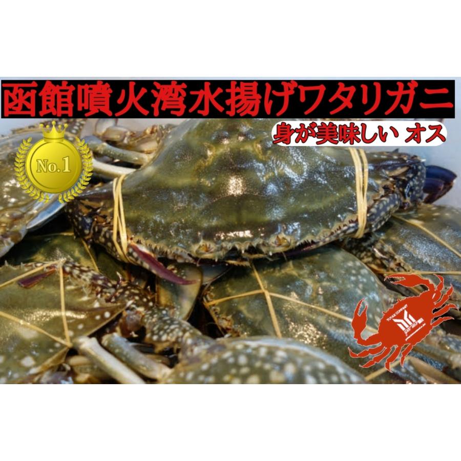 北海道産 天然 オスワタリガニ 中 大サイズ 5杯 Osuwatari5 ユタックス物産 通販 Yahoo ショッピング
