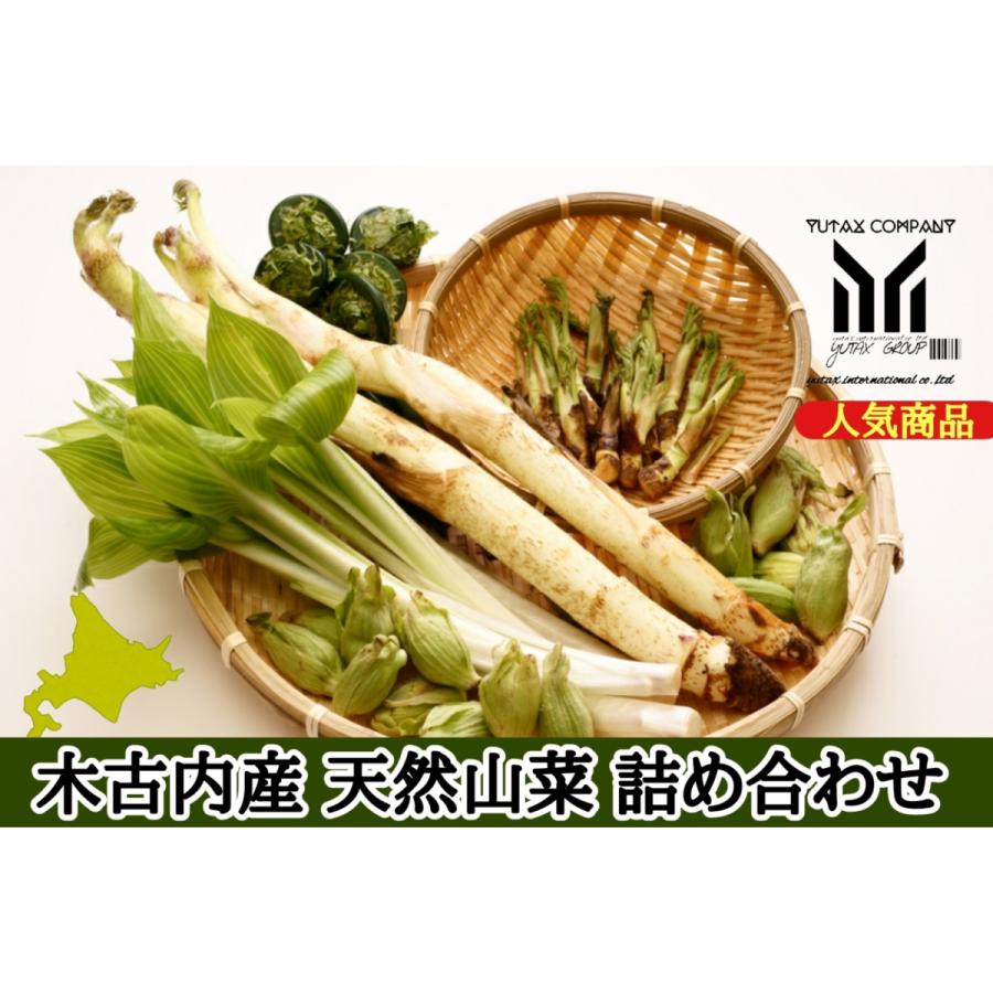 北海道木古内町産 天然山菜お任せセット 1kg Sannsaisextuto ユタックス物産 通販 Yahoo ショッピング