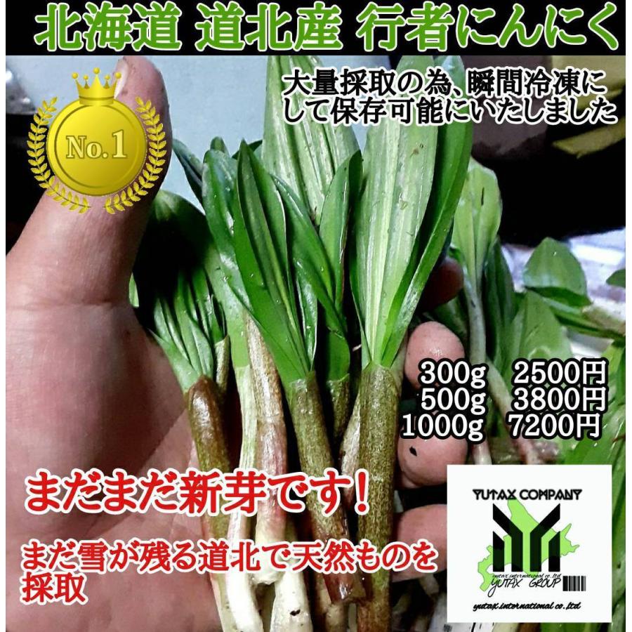 北海道 道北産 行者にんにく 500g 瞬間冷凍 Llamaarchitects Co Uk