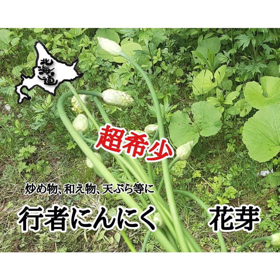 驚きの安さ 北海道産 行者にんにく 花芽 18本