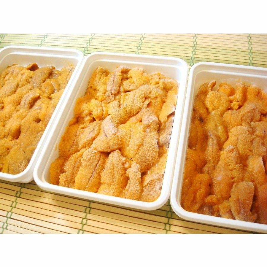 ポイント10倍 北海道福島町産 バフンウニ ムラサキウニ 特撰セット 各100ｇ 公式の Www Muslimaidusa Org