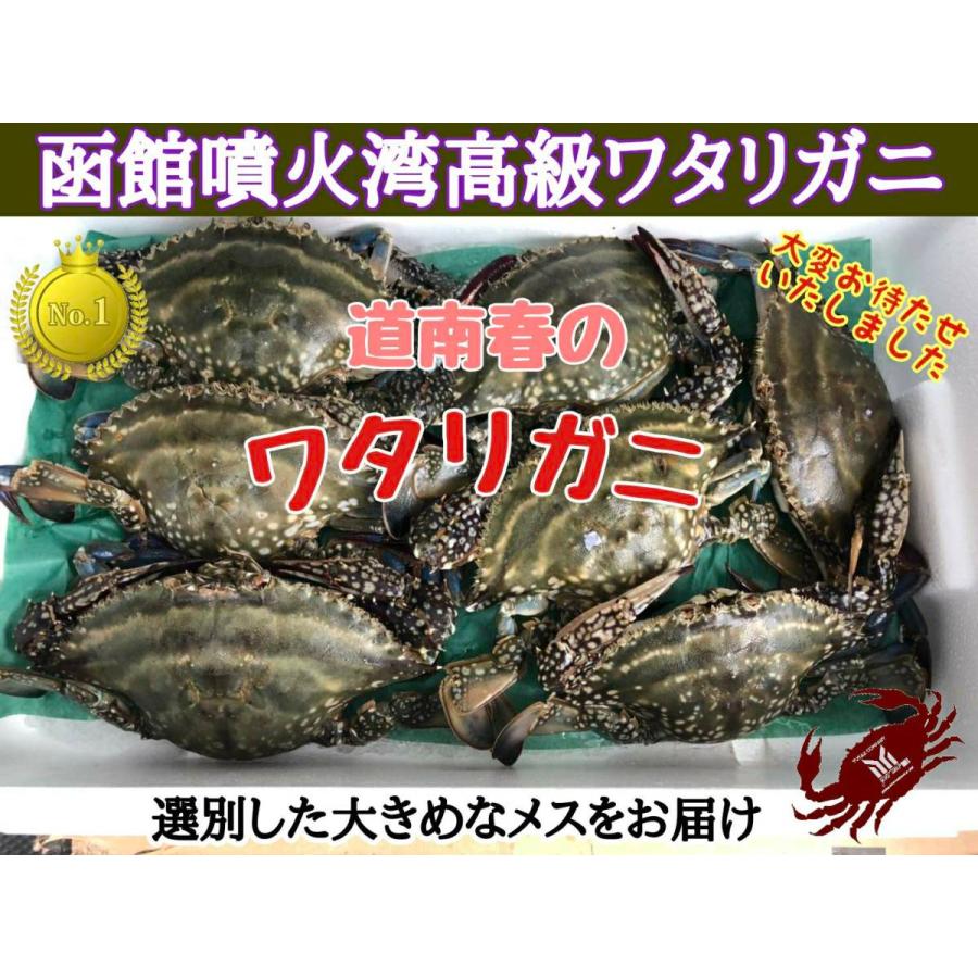 北海道 函館 噴火湾産 内子たっぷり選別ワタリガニ 1杯 Utikowatari3 ユタックス物産 通販 Yahoo ショッピング