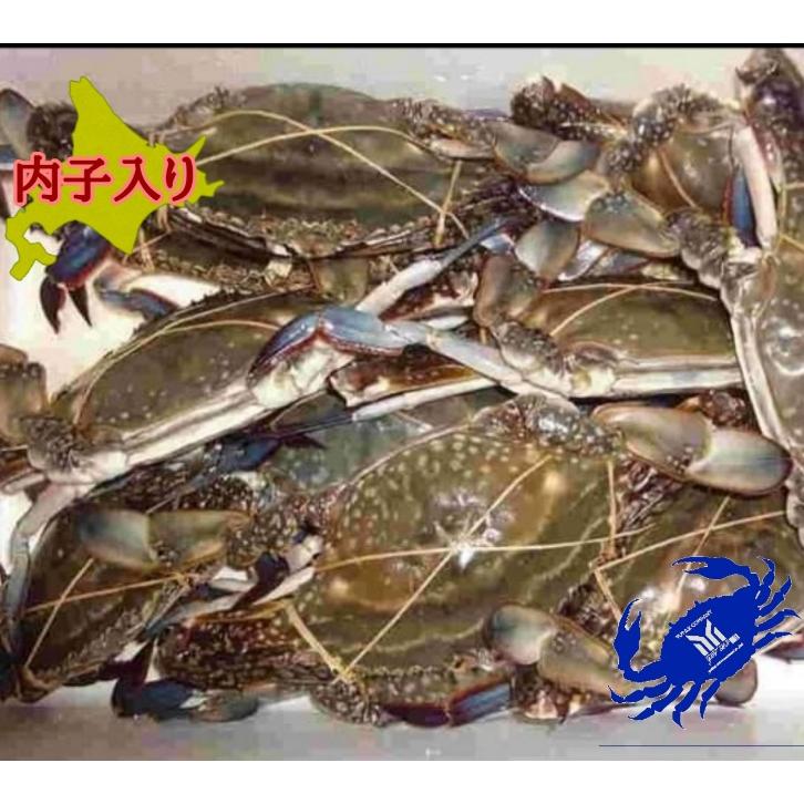北海道 函館産 内子入り ワタリガニ 3杯 1杯250g〜 わたりがに