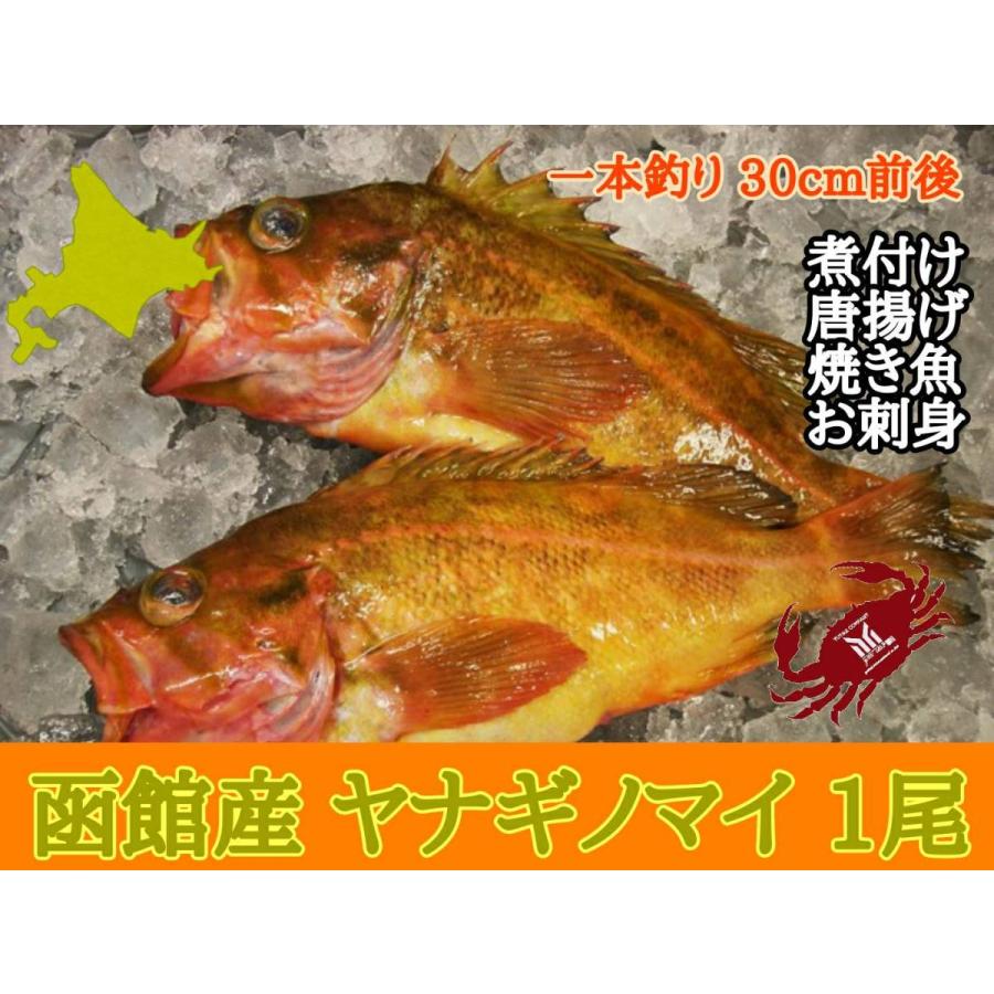 北海道函館産 一本釣り ヤナギノマイ 30cm前後 1尾 Yanaginomai ユタックス グループ 北海道物産 通販 Yahoo ショッピング