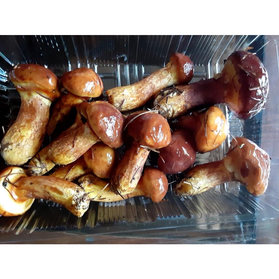 北海道 道北産】天然 落葉きのこ（専用ページ）