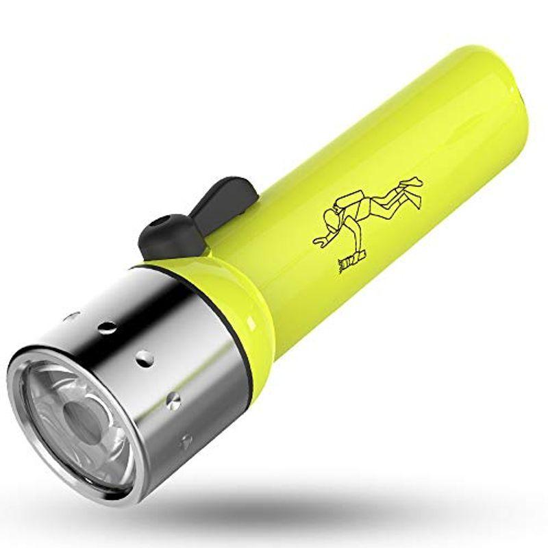 Ledlenser(レッドレンザー) D14.2 LEDダイビングライト 防水 単3(AA)4本 日本正規品