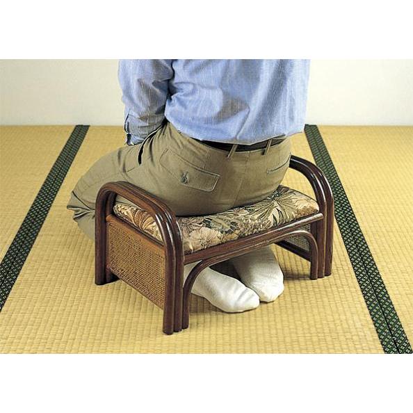 籐 らくらく座椅子 2個組 ロータイプ C10 イス チェア 座椅子 完成品