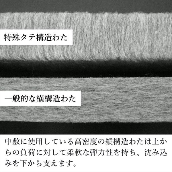 300円クーポン進呈 日本製 快適 こたつ敷き布団 190×260cm こたつ こたつ布団 こたつ敷き布団 KS- VLAP260EN 体圧分散 敷き布団 弾力性 快適 ベロア風 光沢感｜yutoriplan｜03