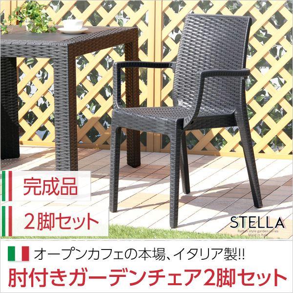 2脚セット「ステラ-STELLA」 庭 ガーデニング ガーデンファニチャー ガーデンチェア テーブル SH-05-11234 ステラ チェア 【シリオ】