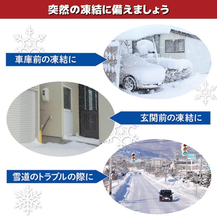 サッとひと振り 解氷くん Sv 6407 8119 凍結防止剤 融雪剤 塩化カルシウム 雪 玄関 階段 滑る 凍る 路面 バリュー家具 ゆとり生活研究所 通販 Yahoo ショッピング