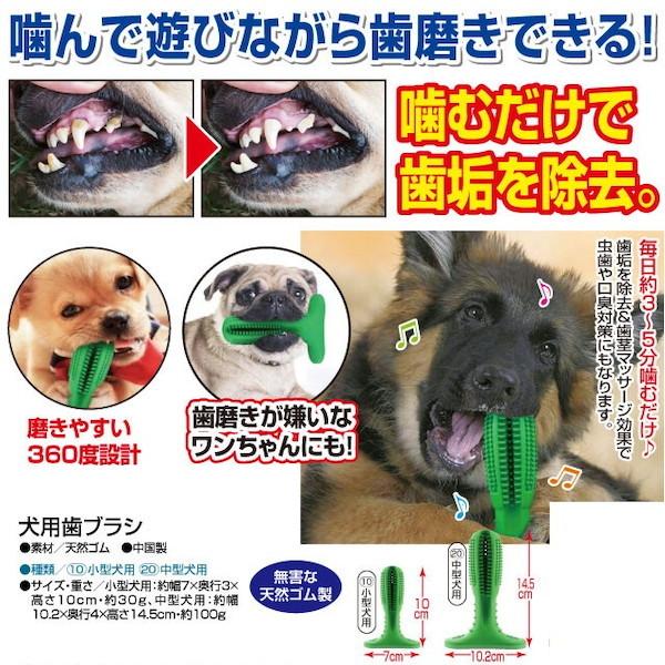 犬用品 お手入れ トリミング用品 デンタルケア用品 犬用歯ブラシ Fl 1525 歯ブラシ 犬用 デンタルケア 噛むだけ 歯垢除去 歯茎マッサージ 口臭対策 虫歯対策 天 バリュー家具 ゆとり生活研究所 通販 Yahoo ショッピング