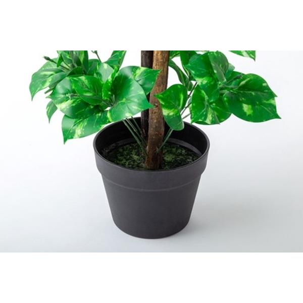 観葉植物 ベンジャミン ベンジャミン 鉢ポット付 インテリアグリーン 2点セット 5849 水やり不要 造木 ボリューム 自然 間仕切り バリュー家具 ゆとり生活研究所 通販 Yahoo ショッピング