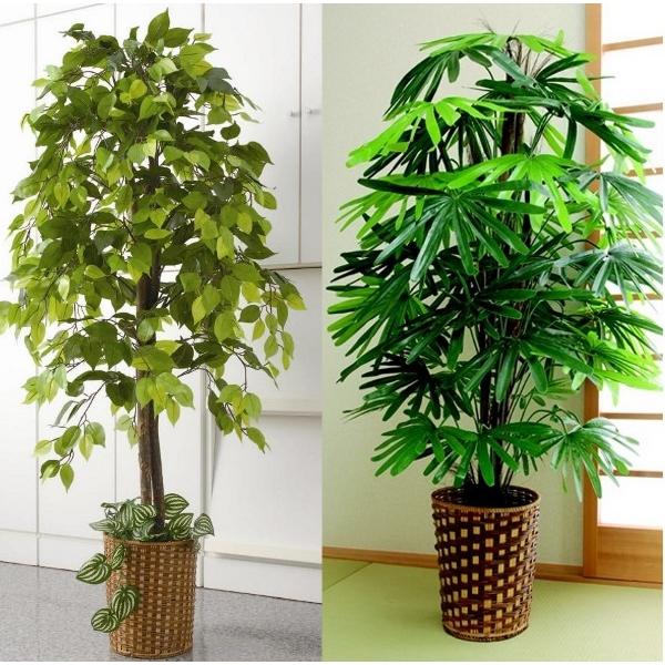 即納最大半額 人工観葉植物 竹カゴ付 最適な価格 Tiebreak Fr