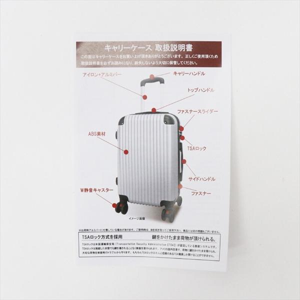 ＼レビューでプレゼント／TSAロック 軽量樹脂製キャリーケース S＆Sセット USD01 旅行用品 その他 4562350988491 11の画像