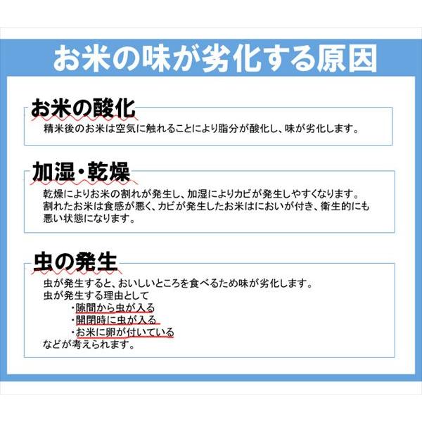 ＼レビューでプレゼント／日本製 総桐米びつ 10kgサイズ 焼桐 キャスター付 保存容器 ケース 米びつ 9365012 完成品 made in Japan 日本 贈り物 プレゼント 桐の画像