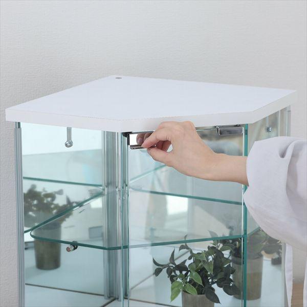 レビューでプレゼント／卓上ガラスコレクションケース コーナー テレビ 