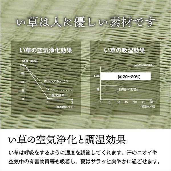 ＼レビューでプレゼント／純国産 い草 上敷き『グラッセ』 格子柄 江戸間8畳(348×352cm） カーペット ラグ マット カーペット ラグ純国産 上敷き カーペッ_8