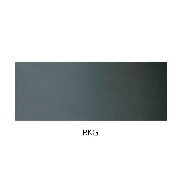 LIXIL（INAX）　便フタキット　ノーブルブラック　【品番：312-1073A/BKG】【14】_1