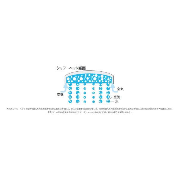 LIXIL（INAX） エコアクアシャワー メタル調、ブラック 【品番：BF