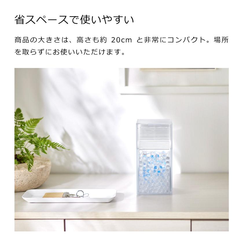 山崎実業 smart ツーウェイ消臭ビーズケース スマート 4903208033275