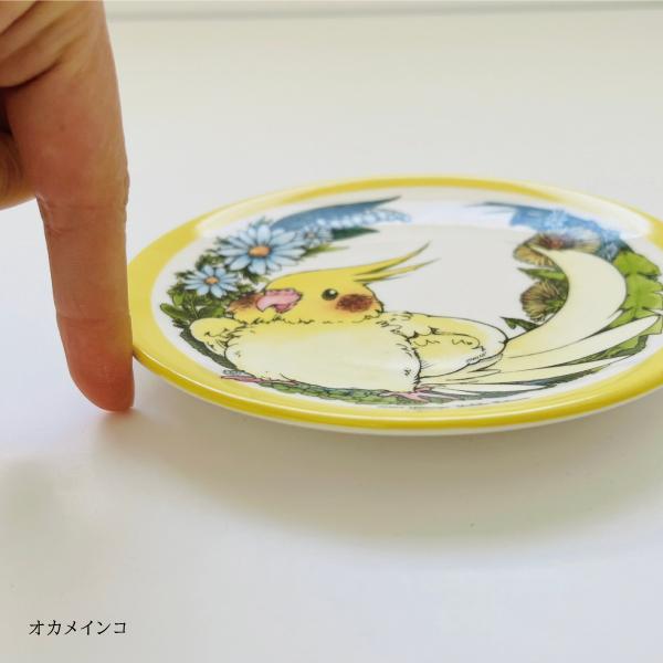 アニバーサリープレート ゆとり屋6周年 飾り皿 15cm 中皿 小皿 インコ 鳥 可愛い かわいい |  | 07