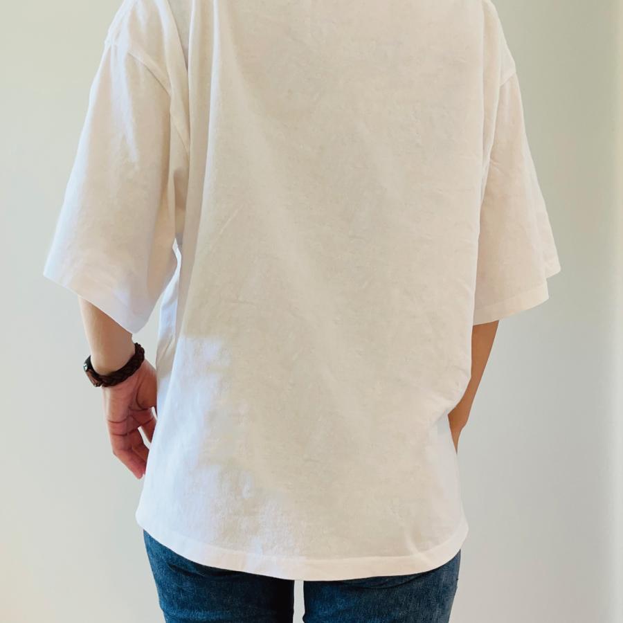 ビッグTシャツ フィンチぞろぞろ 文鳥 キンカチョウ 大きいサイズ Tシャツ 男女兼用 ユニセックス 白 鳥 可愛い かわいい |  | 02