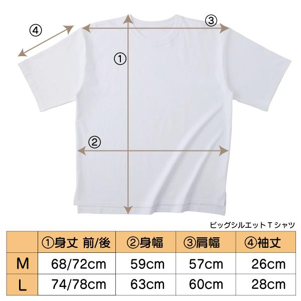 ビッグTシャツ フィンチぞろぞろ 文鳥 キンカチョウ 大きいサイズ Tシャツ 男女兼用 ユニセックス 白 鳥 可愛い かわいい |  | 11